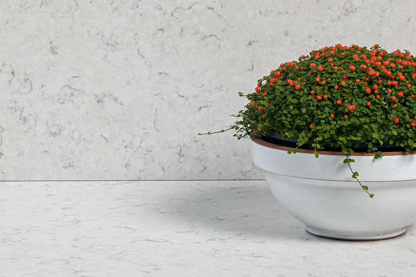 936 Olympos | Çimstone