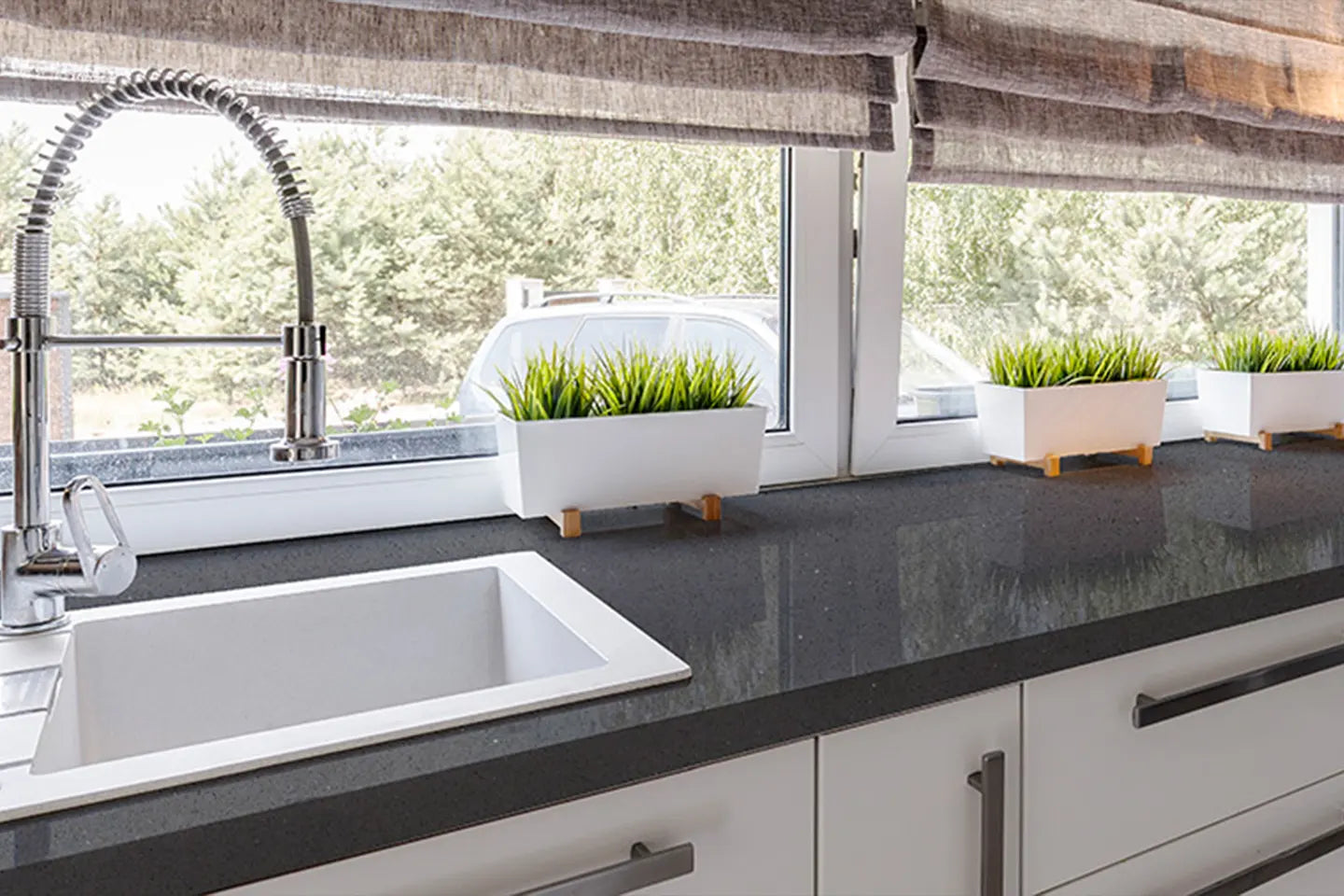 Regulus 2203 | Coante