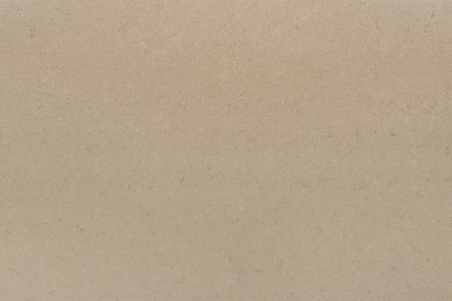 3333 Boletus | Belenco