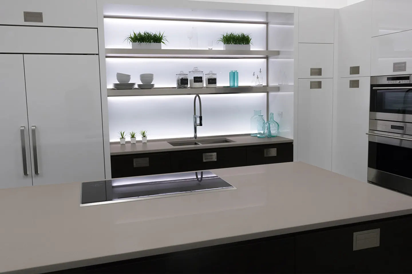 Regina 1105 | Coante