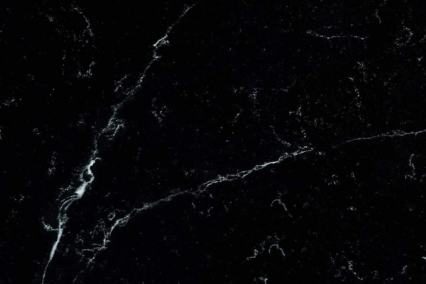 Nocturne 5502 | Coante