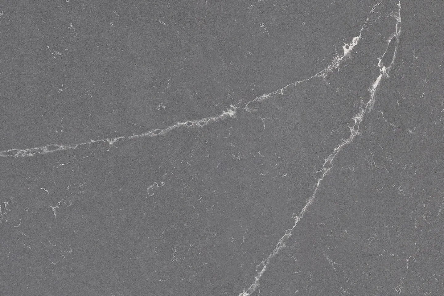 Magnificent 5503 | Coante