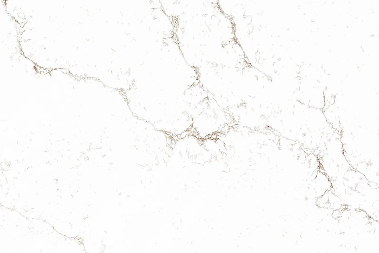 Majestic Brown 9905 | Coante