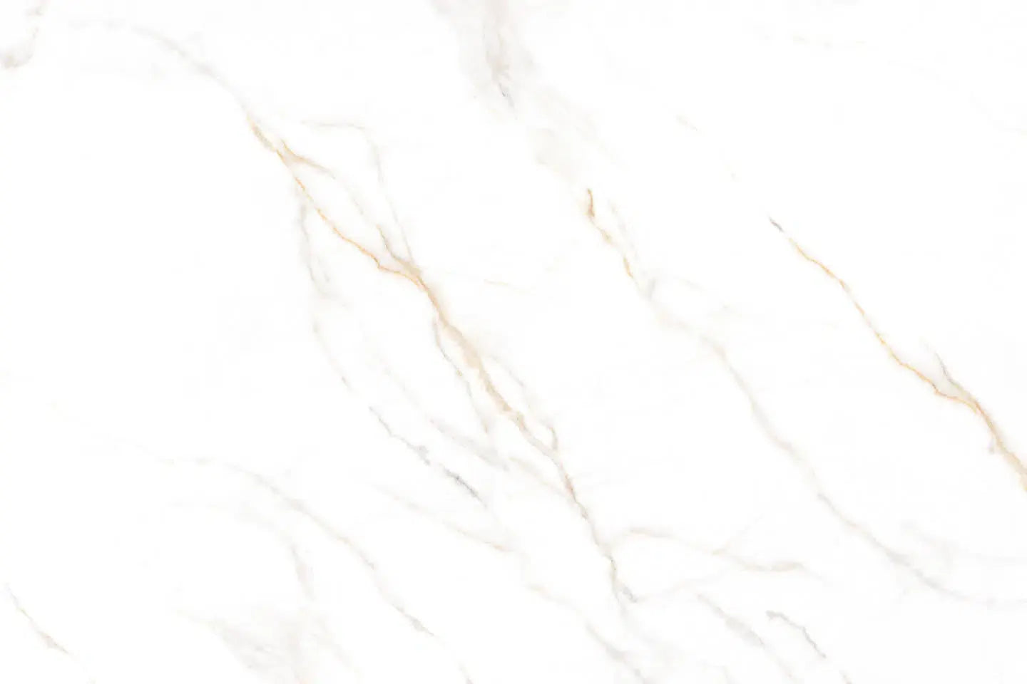 Calacatta Derma | Lamar