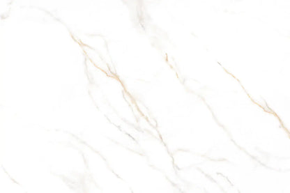 Calacatta Derma | Lamar